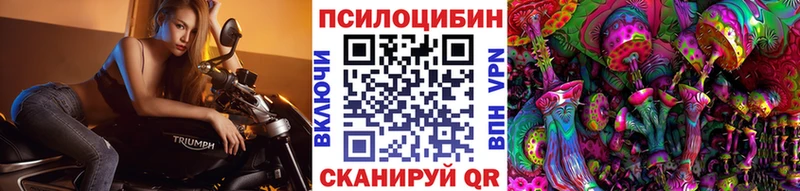 Галлюциногенные грибы Psilocybine cubensis Минусинск