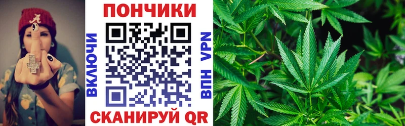 МАРИХУАНА ГИДРОПОН где найти Минусинск
